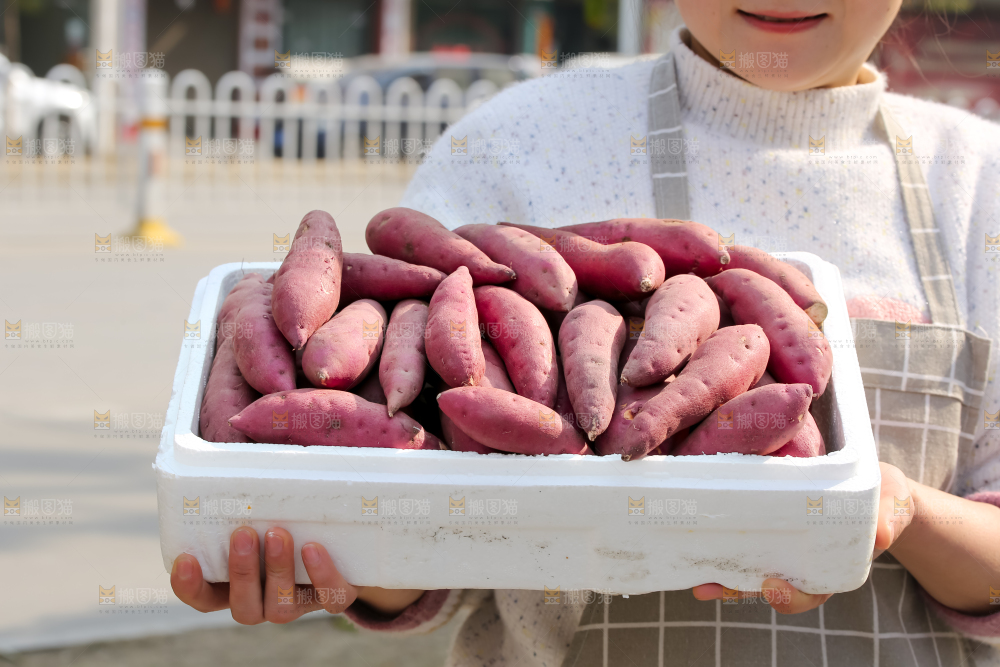 小香薯