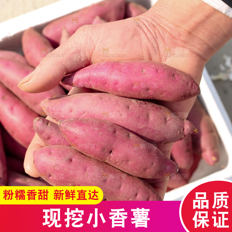 小香薯