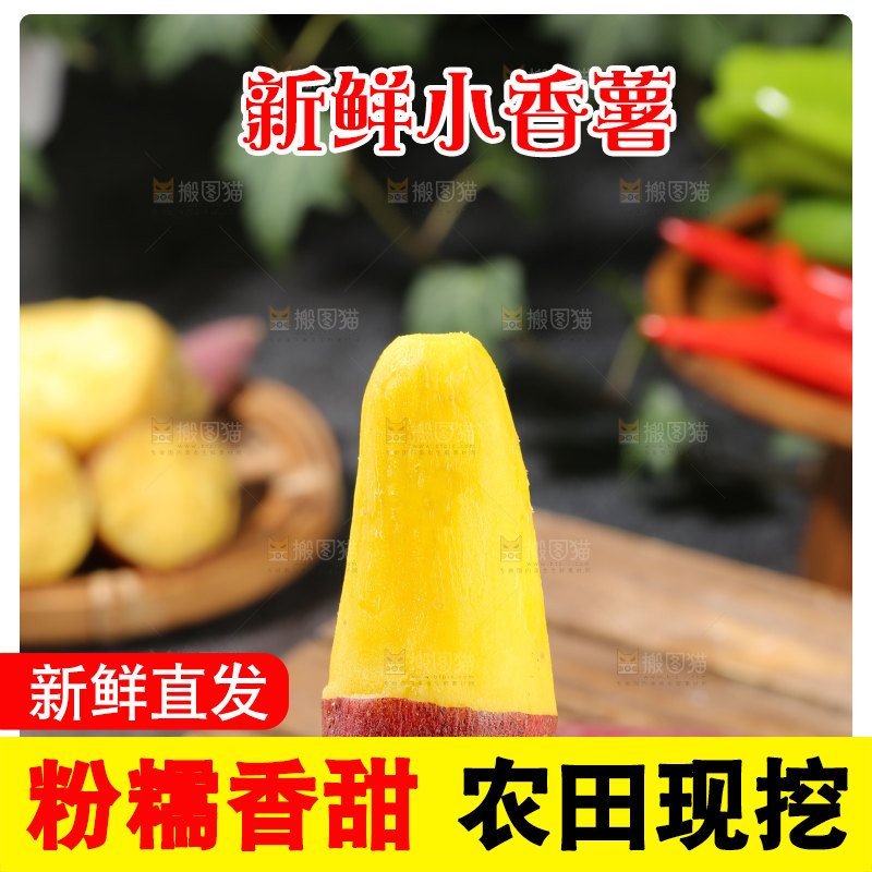 小香薯