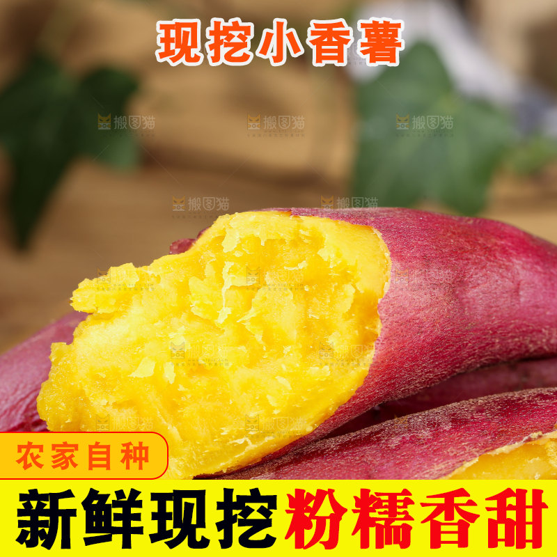 小香薯