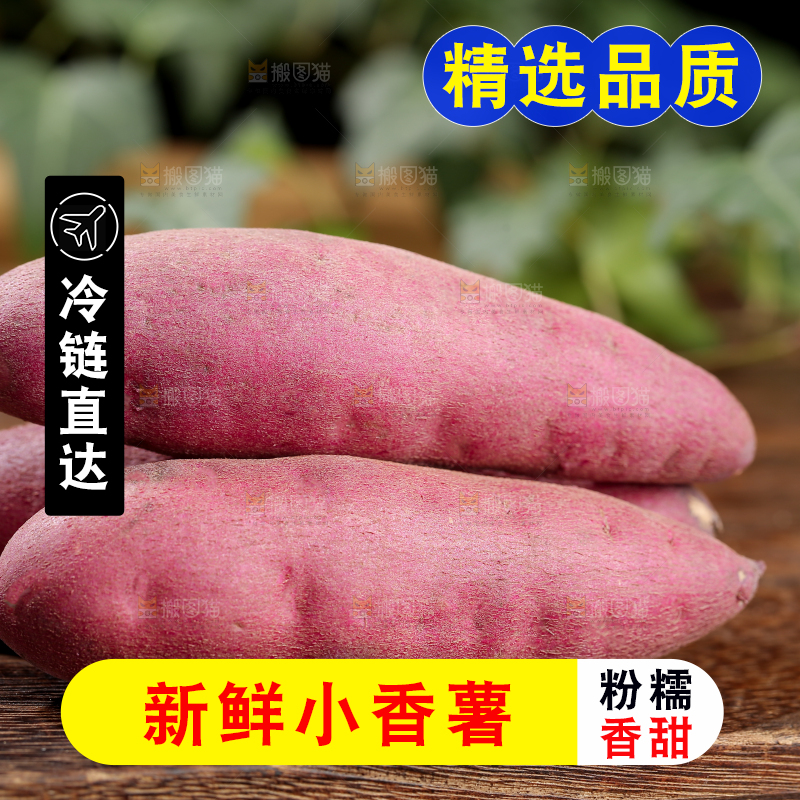 小香薯