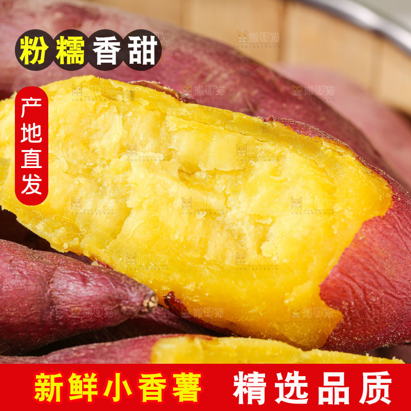 小香薯