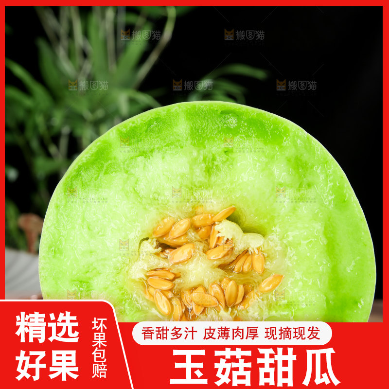玉菇甜瓜