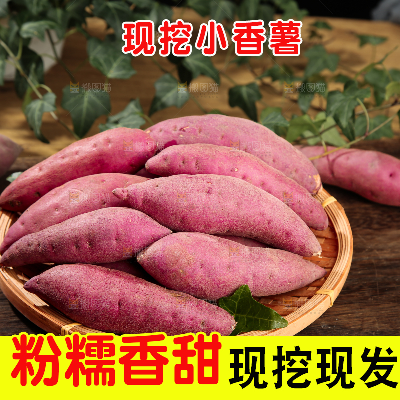 小香薯