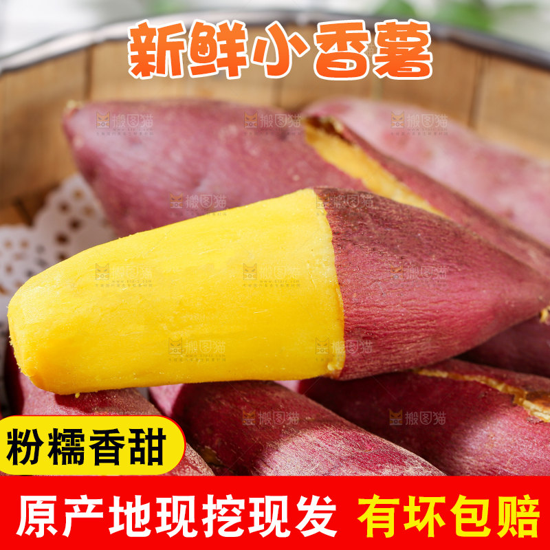 小香薯
