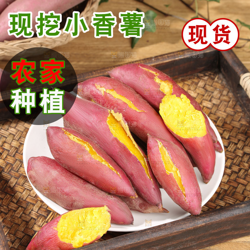 小香薯