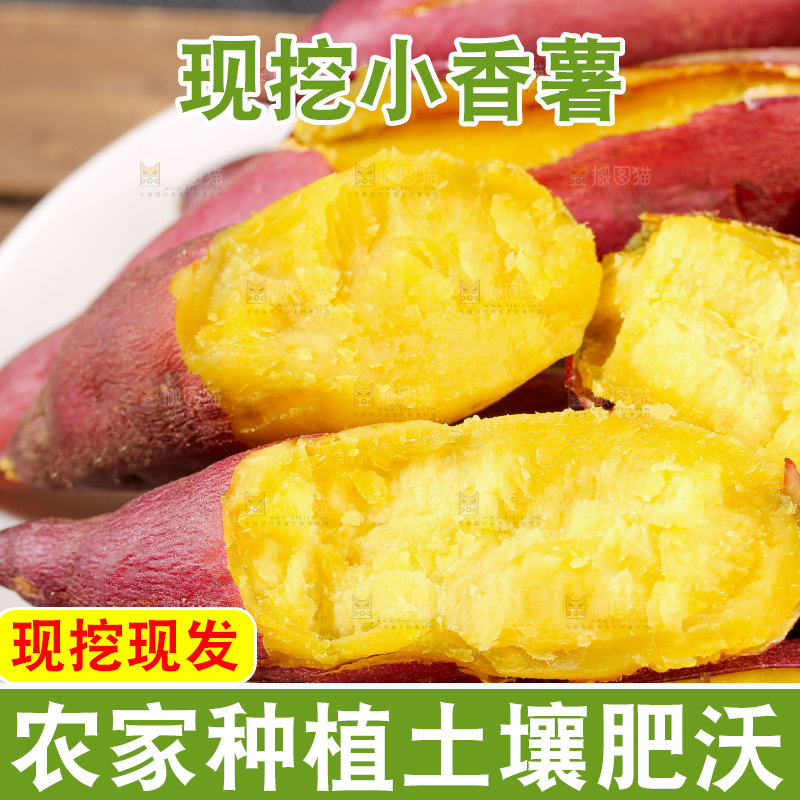 小香薯