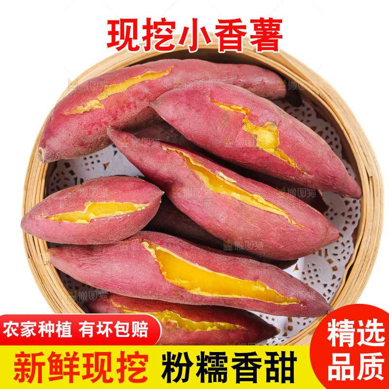 小香薯