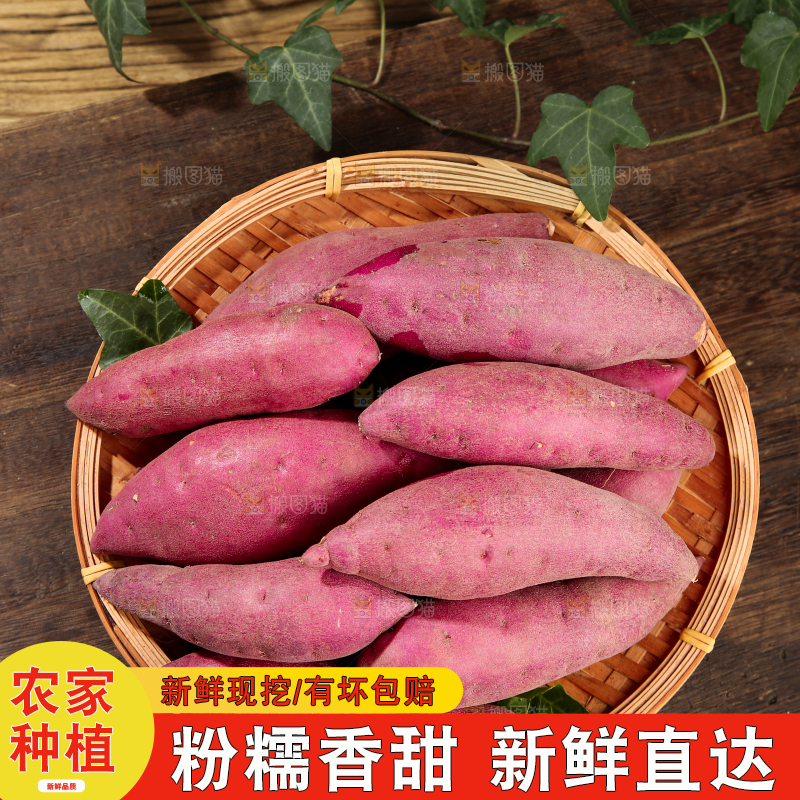 小香薯