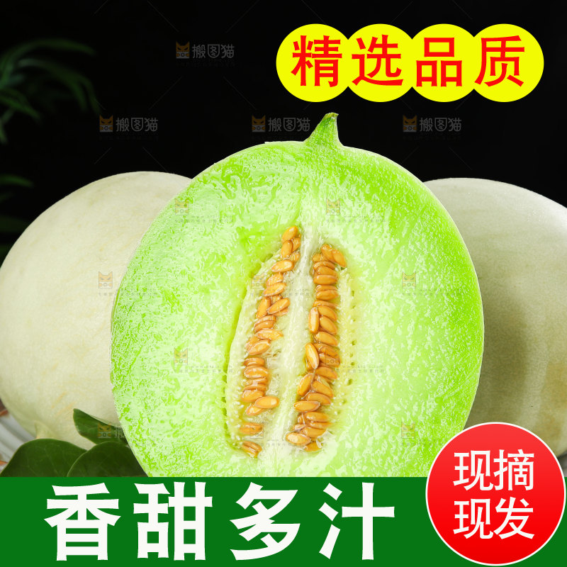 玉菇甜瓜