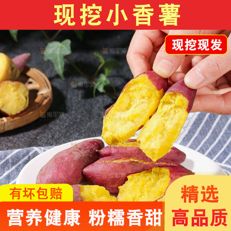 小香薯