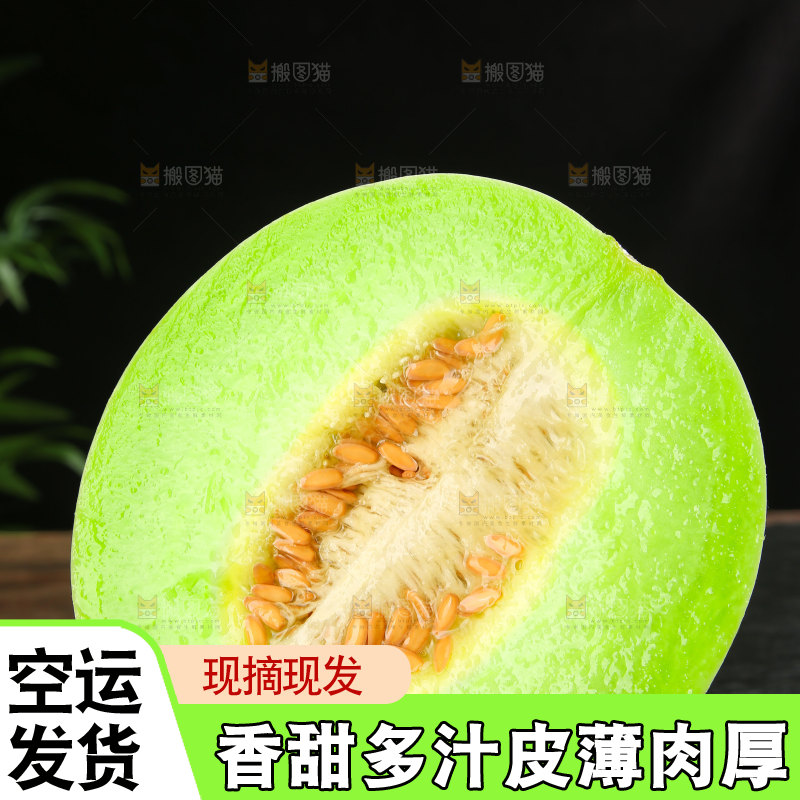 玉菇甜瓜