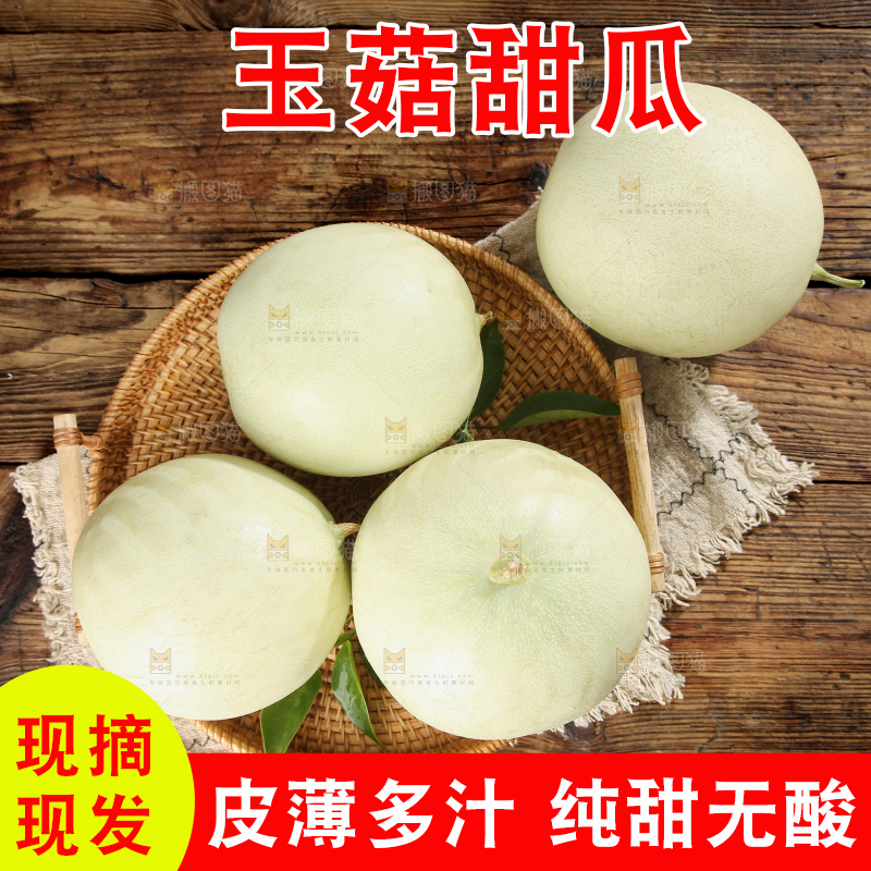 玉菇甜瓜