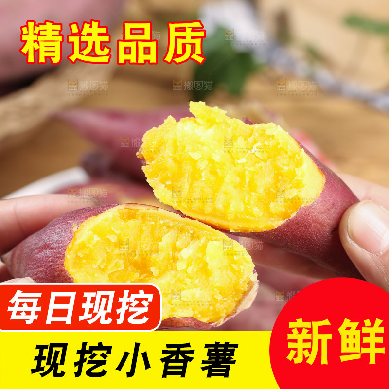 小香薯