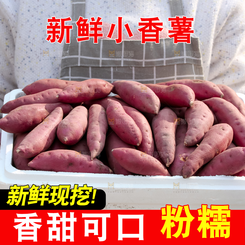 小香薯