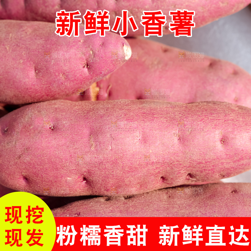小香薯