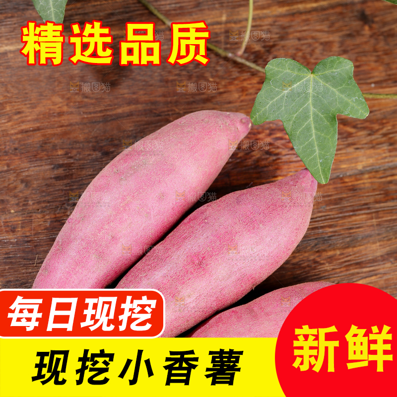 小香薯