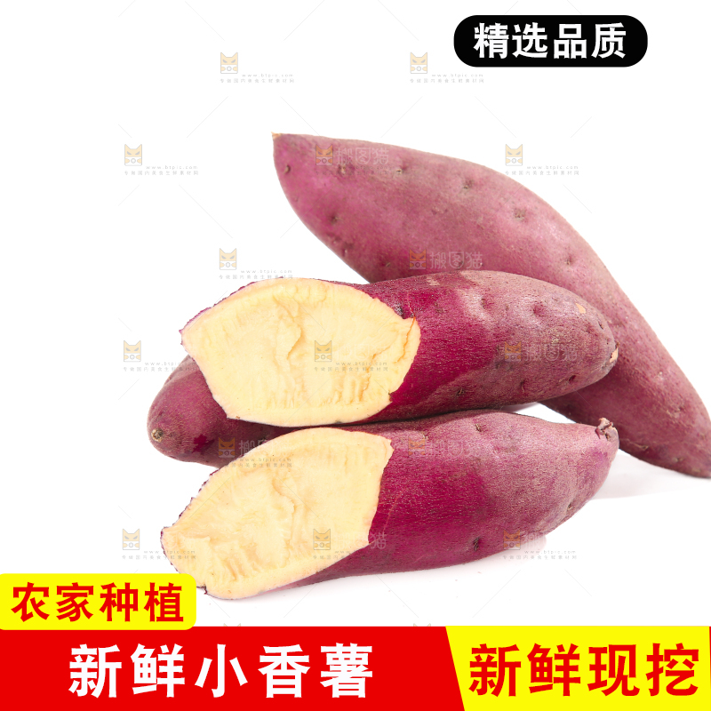 小香薯