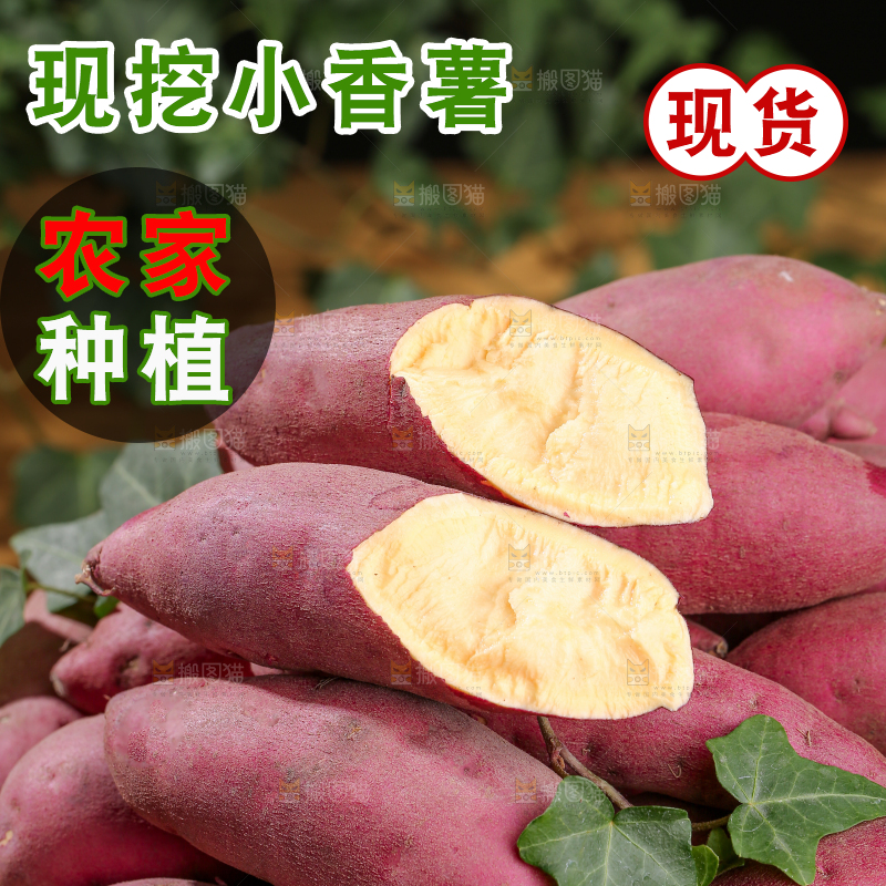 小香薯