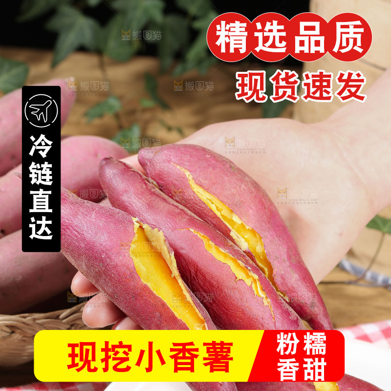 小香薯