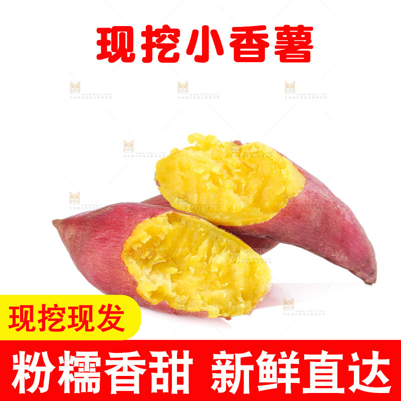 小香薯