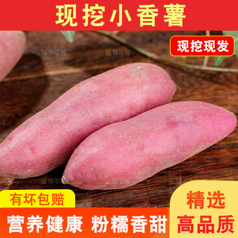 小香薯