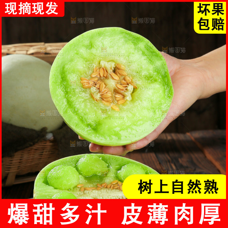 玉菇甜瓜