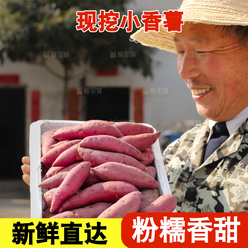 小香薯