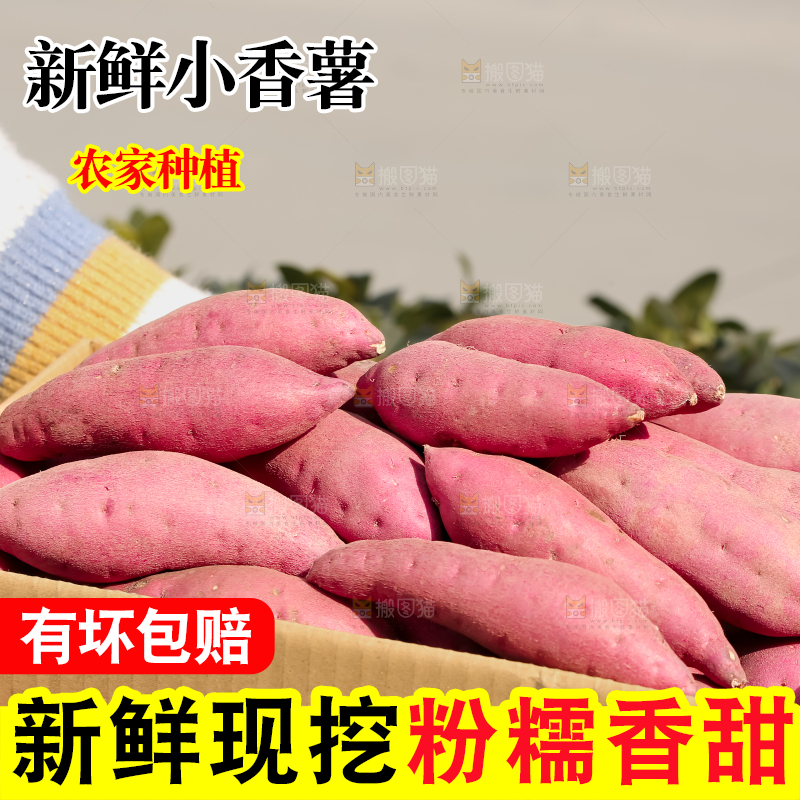 小香薯