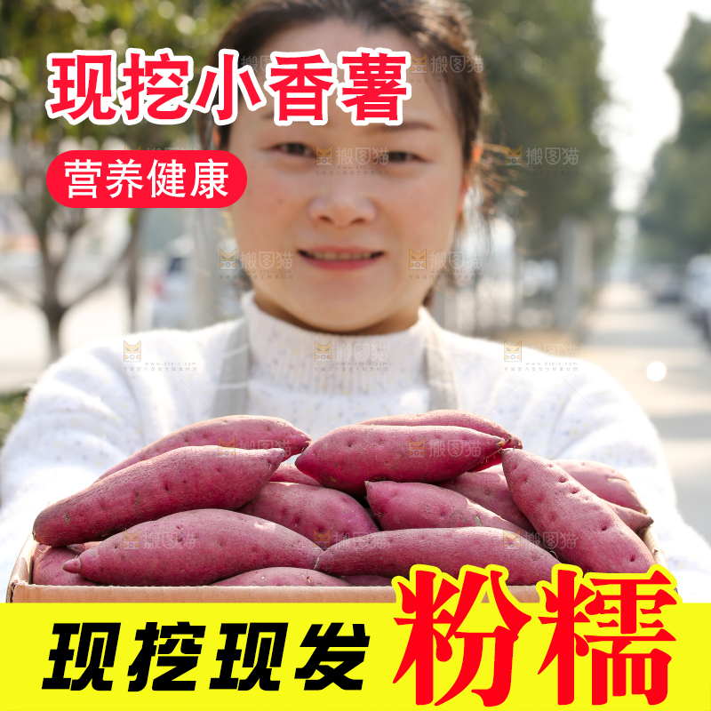 小香薯