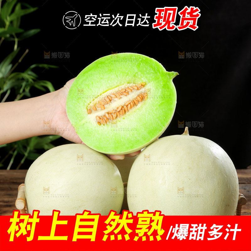 玉菇甜瓜