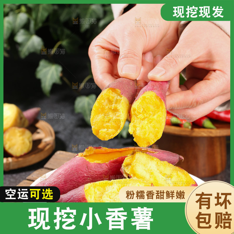 小香薯