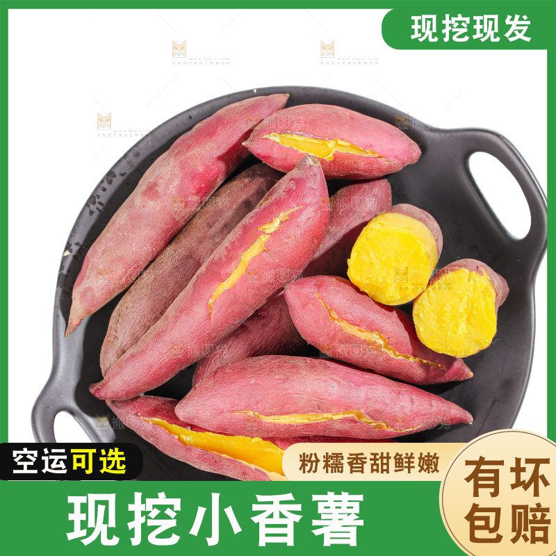 小香薯