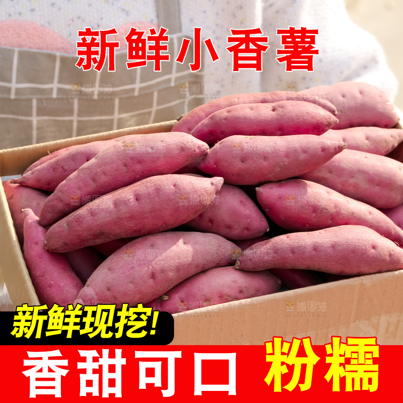 小香薯