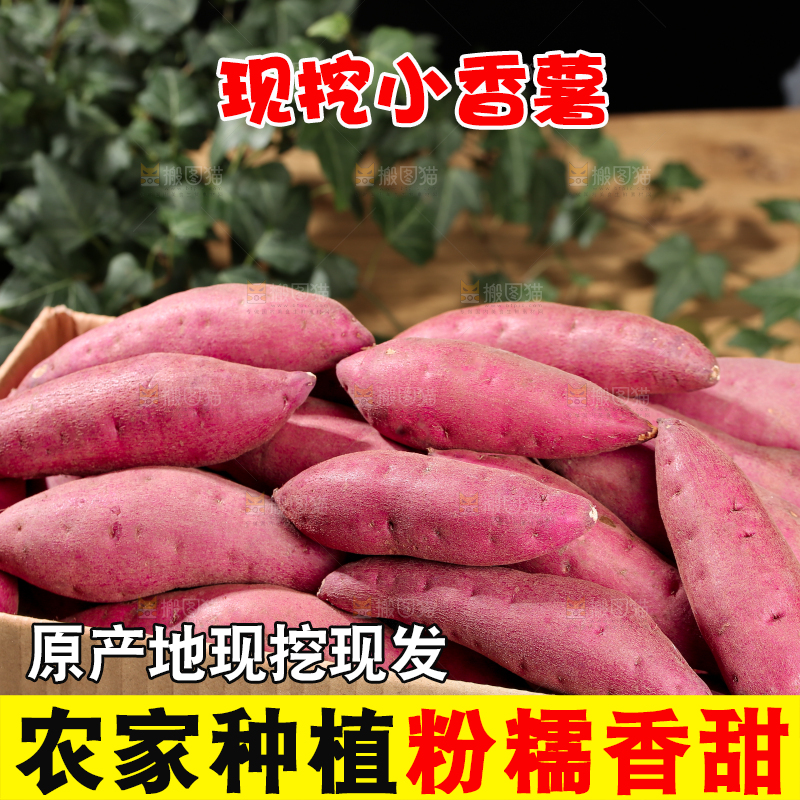 小香薯