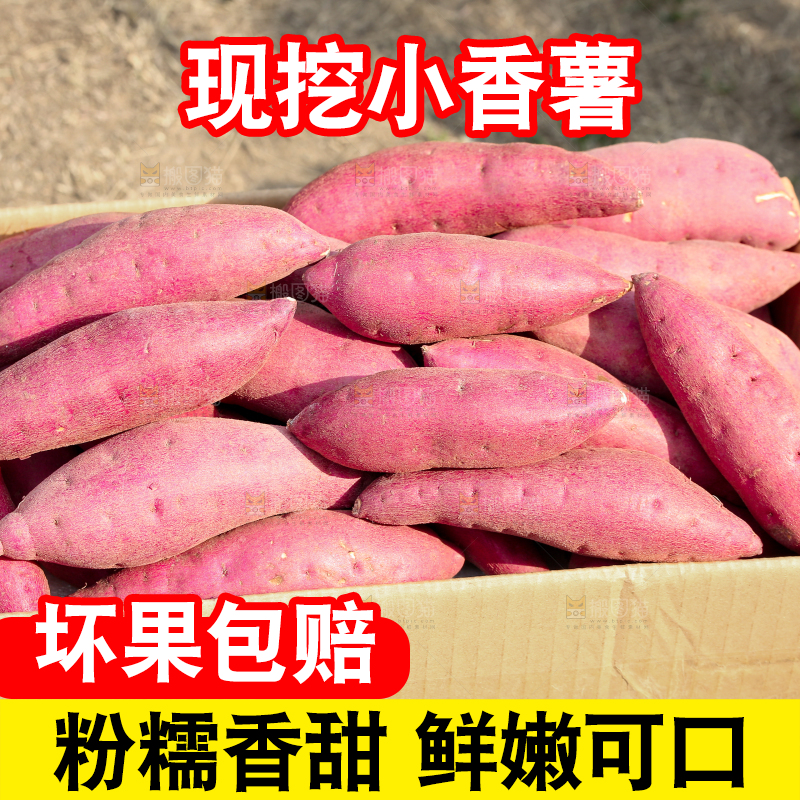小香薯