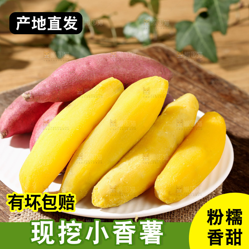 小香薯