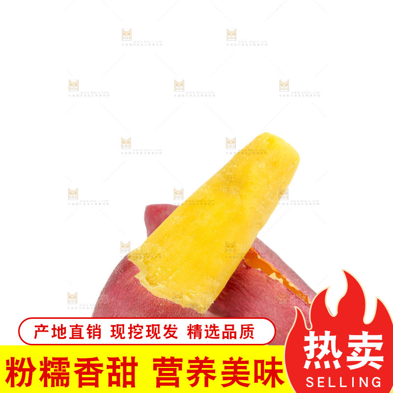 小香薯