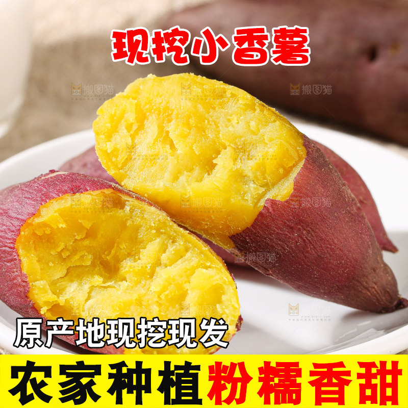 小香薯
