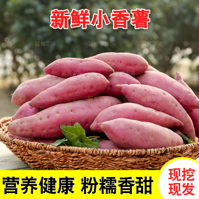 小香薯