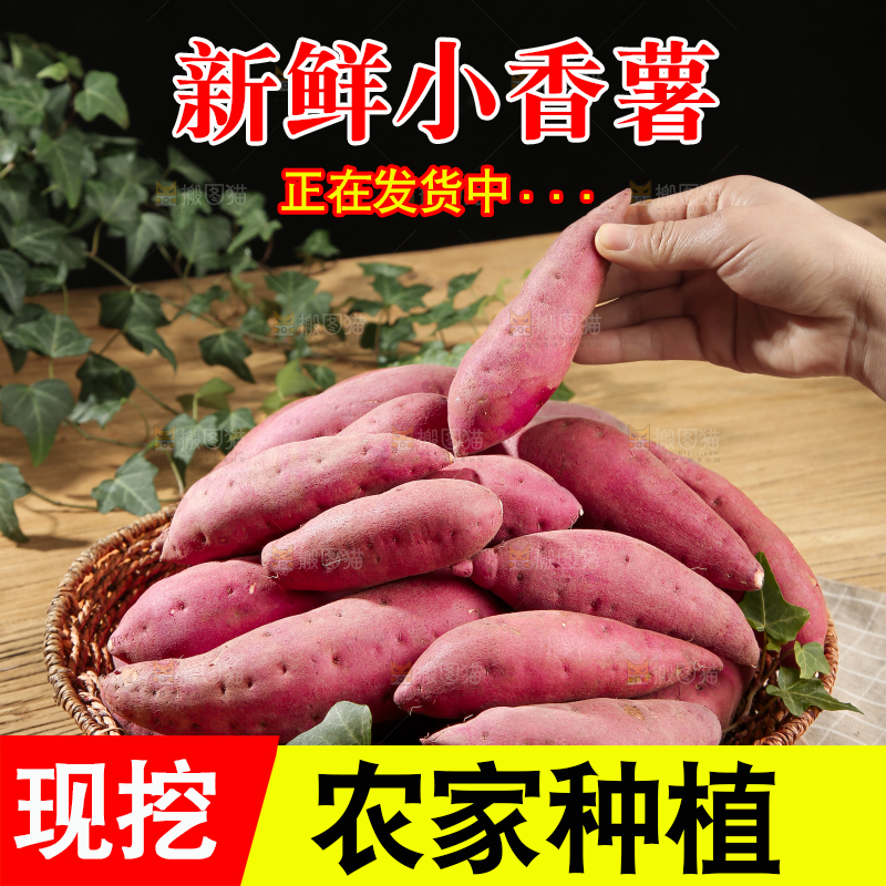 小香薯
