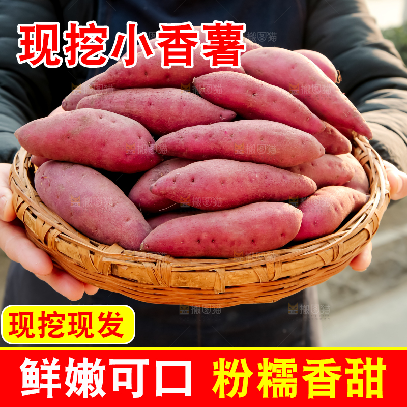 小香薯