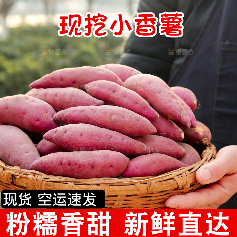 小香薯