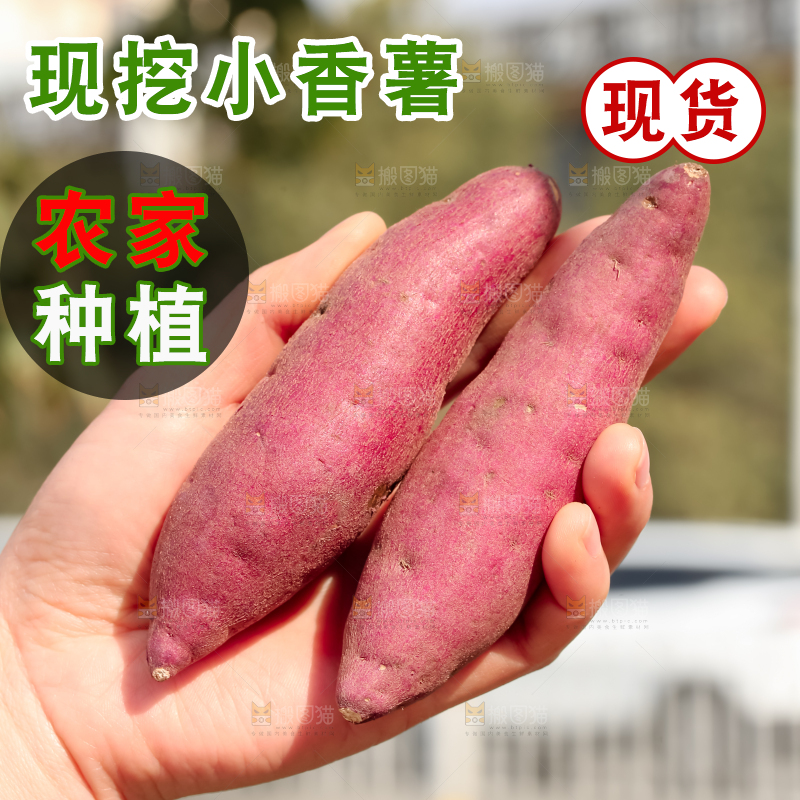 小香薯