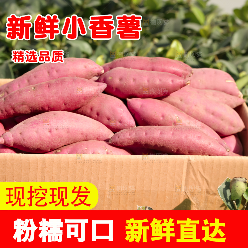 小香薯