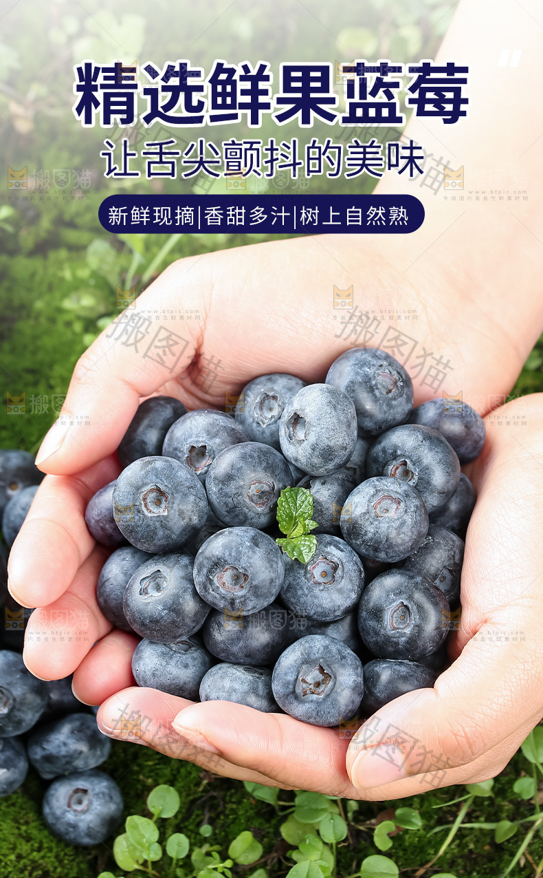 蓝莓详情页