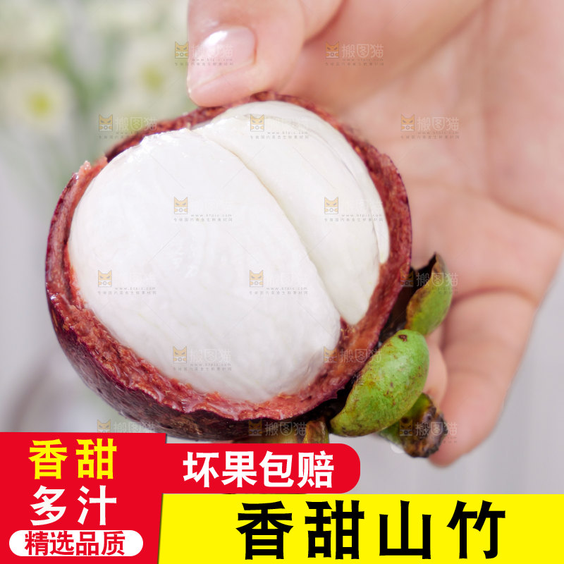 山竹