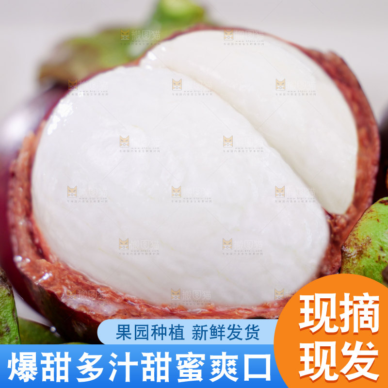 山竹