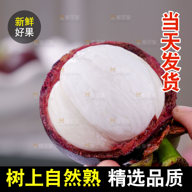 山竹