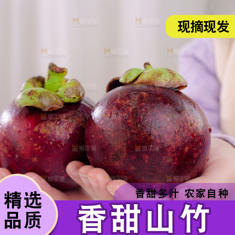 山竹